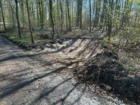 Wasser marsch für den Wald