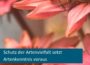 Artenvielfalt: Der Schatz vor unserer Haustür!