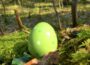 Ob Schoko, Nest oder Eierfarbe: Ostern geht auch nachhaltig