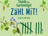 Stunde der Vögel: Jetzt mitmachen bei der Zähl-Aktion