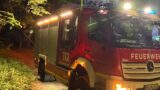 Vegetationsbrand im Waldgebiet sorgt für größeren Feuerwehreinsatz