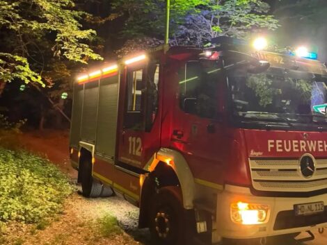 Vegetationsbrand im Waldgebiet sorgt für größeren Feuerwehreinsatz