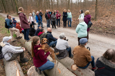 Wenn Gemeinden über den Wald streiten – Forschung zur Konfliktlösung