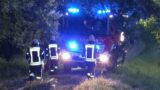 Vegetationsbrand in der Max-Berk-Straße