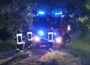 Vegetationsbrand in der Max-Berk-Straße