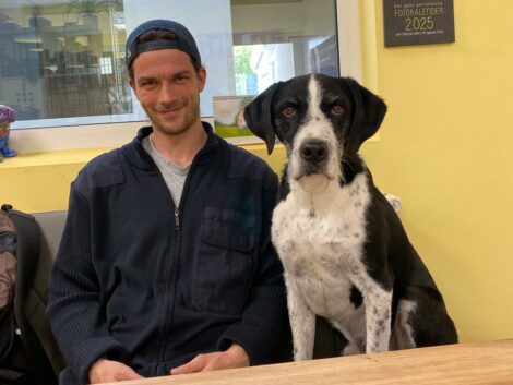 Rocco kämpft mit dem Tierheimalltag