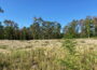 Entwicklungsnaturschutzgebiet Brühlwegdüne Sandhausen