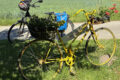 Mach mit beim STADTRADELN – im Green Team Nußloch!