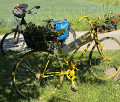 Mach mit beim STADTRADELN – im Green Team Nußloch!