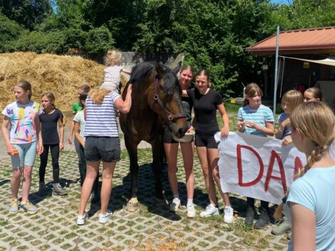 Abschied von Schulpferd Lisbeth: Fünf Jahre voller unvergesslicher Momente