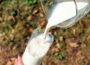Neue Milch-Verordnung: Strengere Regeln für „laktosefrei“ und „frisch“ ab Mitte Juni