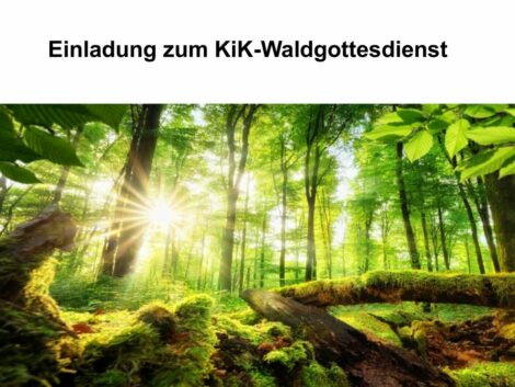 KiK lädt zum Waldgottesdienst mit anschließendem Picknick ein
