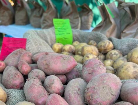 Regionales Highlight: Naturparkmarkt am 26. Juli!