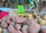 Regionales Highlight: Naturparkmarkt am 26. Juli!