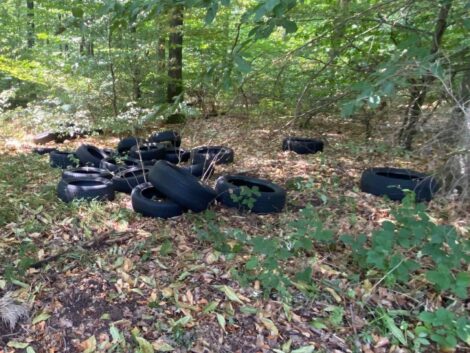 Rund 40 Altreifen illegal im Lingentaler Wald entsorgt