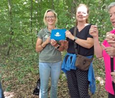 Waldbaden in Nußloch verbindet Natur, Achtsamkeit und Gemeinschaft