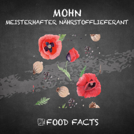 Mohn liefert Nährstoffe – bei der Menge ist Vorsicht geboten