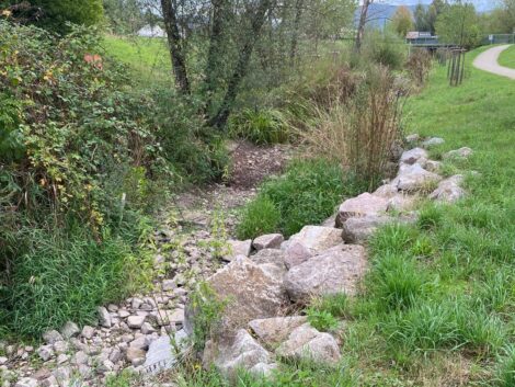 Weiterhin Niedrigwasser im Rhein-Neckar-Kreis