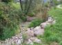 Weiterhin Niedrigwasser im Rhein-Neckar-Kreis