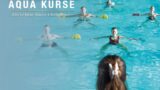 Mehr als Fitness – Aqua Kurse bei Pfitzenmeier
